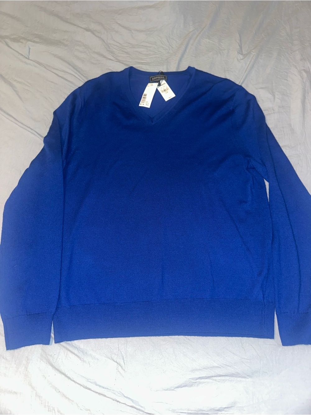 Express Men's V-Neck Sweater in Cobalt Blue